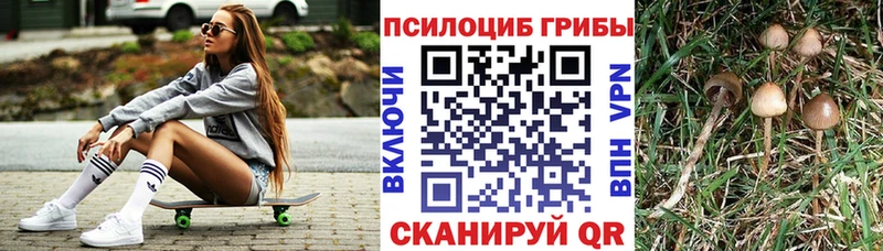 Галлюциногенные грибы Psilocybe Купить Соль-Илецк
